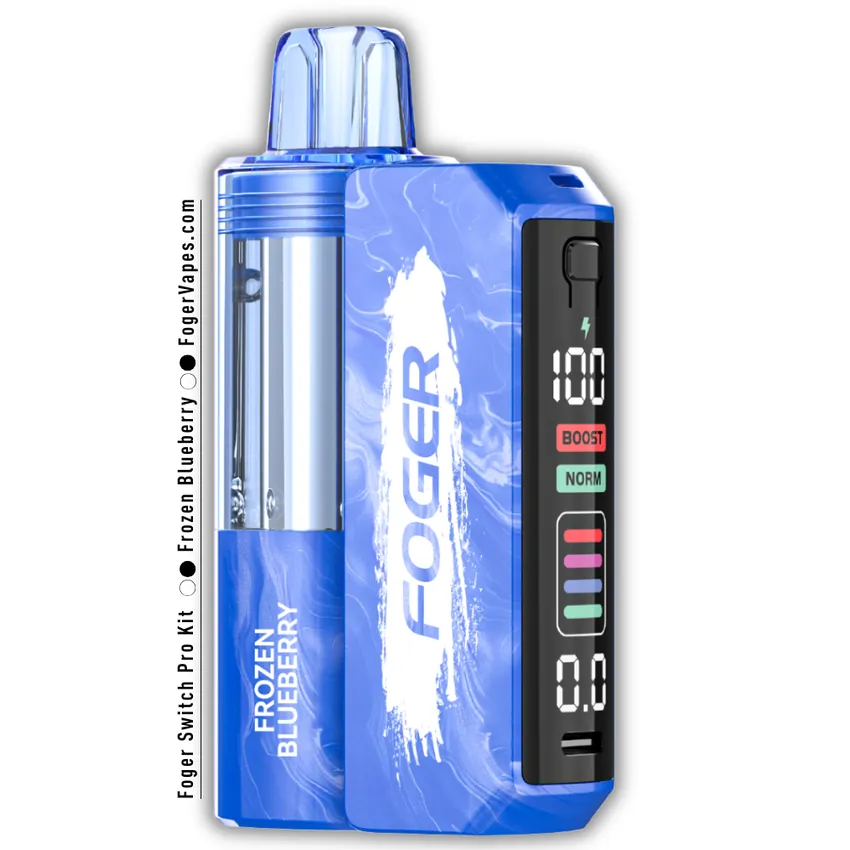 Frozen Blueberry - Foger Switch Pro Kit 30K Puffs