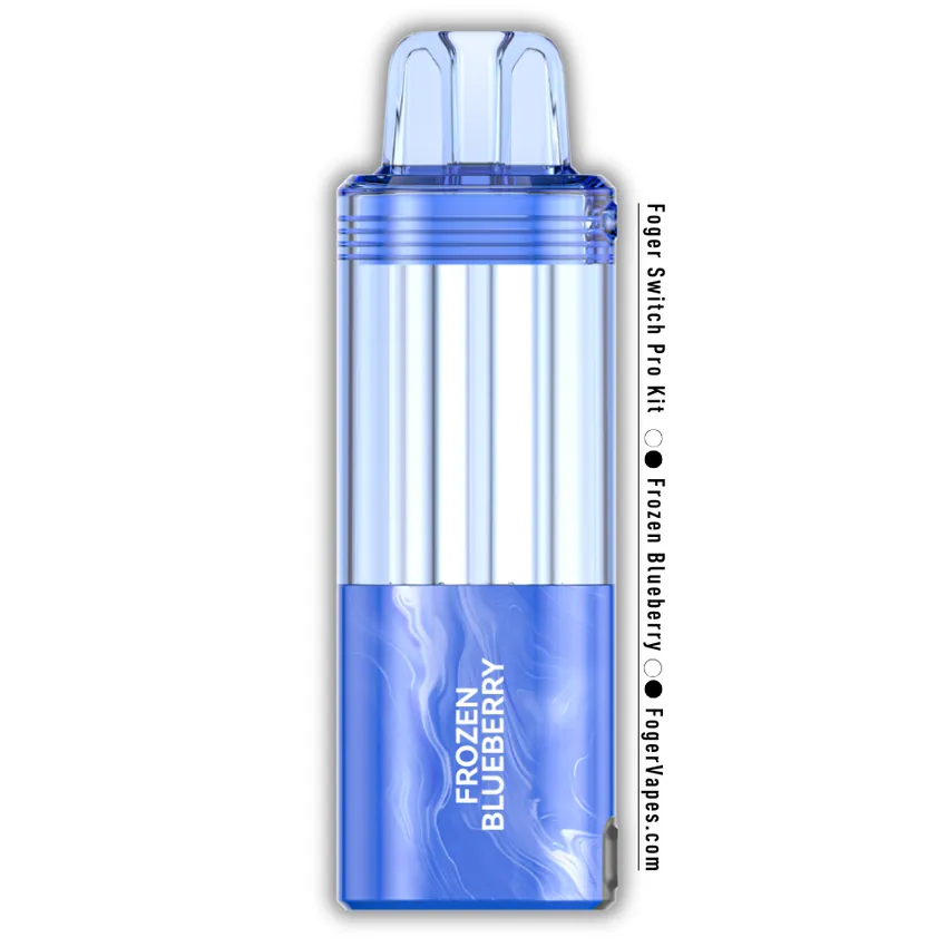 Frozen Blueberry - Foger Switch Pro Pod 30K Puffs